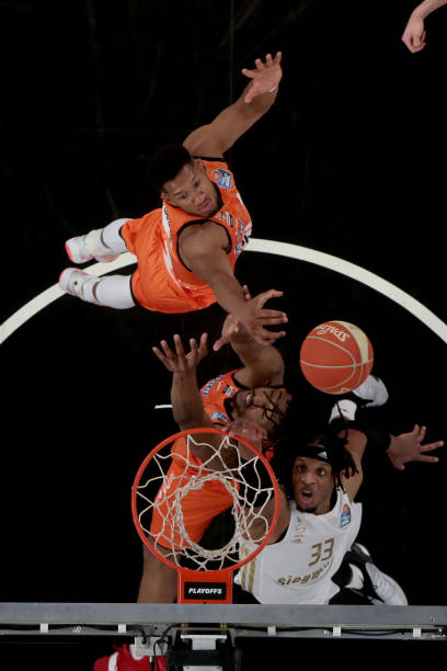 带领菲尼克 带领菲尼克